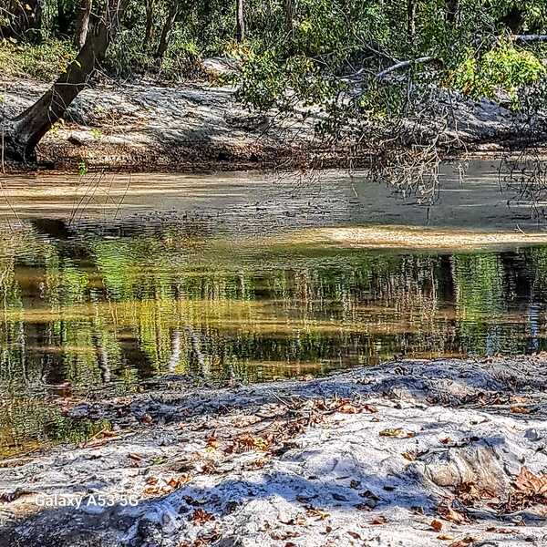 [Sugar Creek, Withlacoochee River @ Gornto Road 2023-11-02]