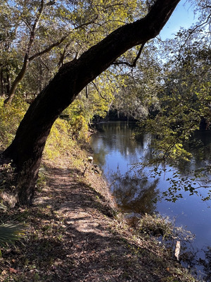 [Holly Point downstream, Withlacoochee River @ NE Withla Bluffs Way 2023-11-02]