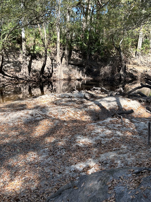 [Sandbar, Staten Road, Withlacoochee River 2023-11-02]