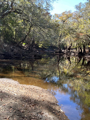 [Across, Staten Road, Withlacoochee River 2023-11-02]