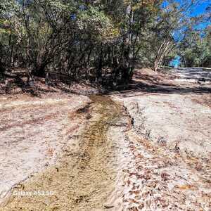 [Creek at Knights Ferry Boat Ramp, Withlacoochee River @ Knights Ferry Road 2023-11-02]