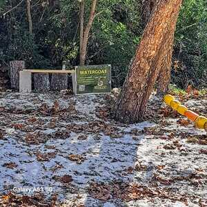 [Watergoat, Sugar Creek, Withlacoochee River @ Gornto Road 2023-11-02]