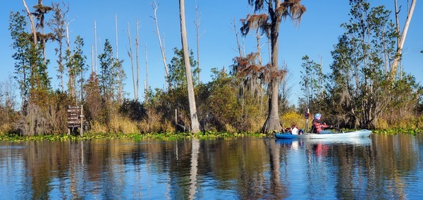 [Suwannee River and Gretchen Quarterman, 09:53:57, 30.8316870, -82.3600199]