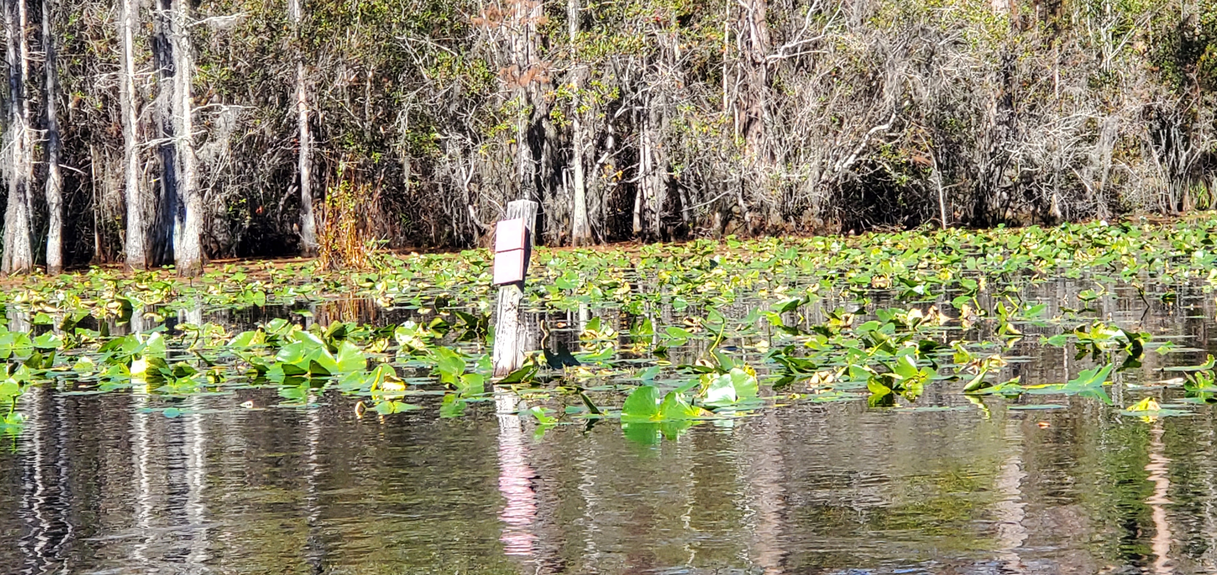 Double signpost, 12:49:51, 30.8358263, -82.3430492