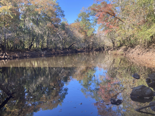 [Sheboggy Boat Ramp, Alapaha River @ US 82 2023-11-05]