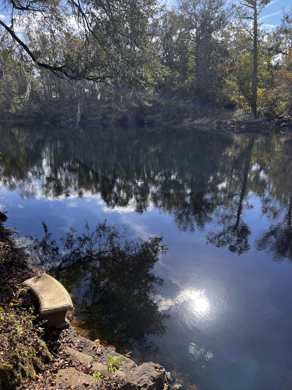 [Downstream, Holly Point, Withlacoochee River @ NE Withla Bluffs Way 2023-11-09]