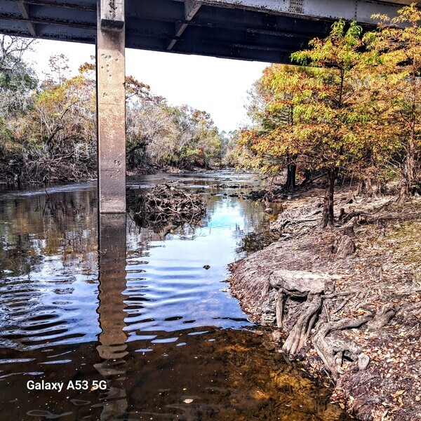 [Clyattville-Nankin Boat Ramp, Withlacooochee River 2023-11-09]