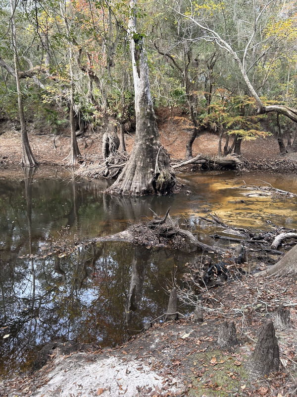 [Staten Road, Withlacoochee River @ Staten Road 2023-11-09]