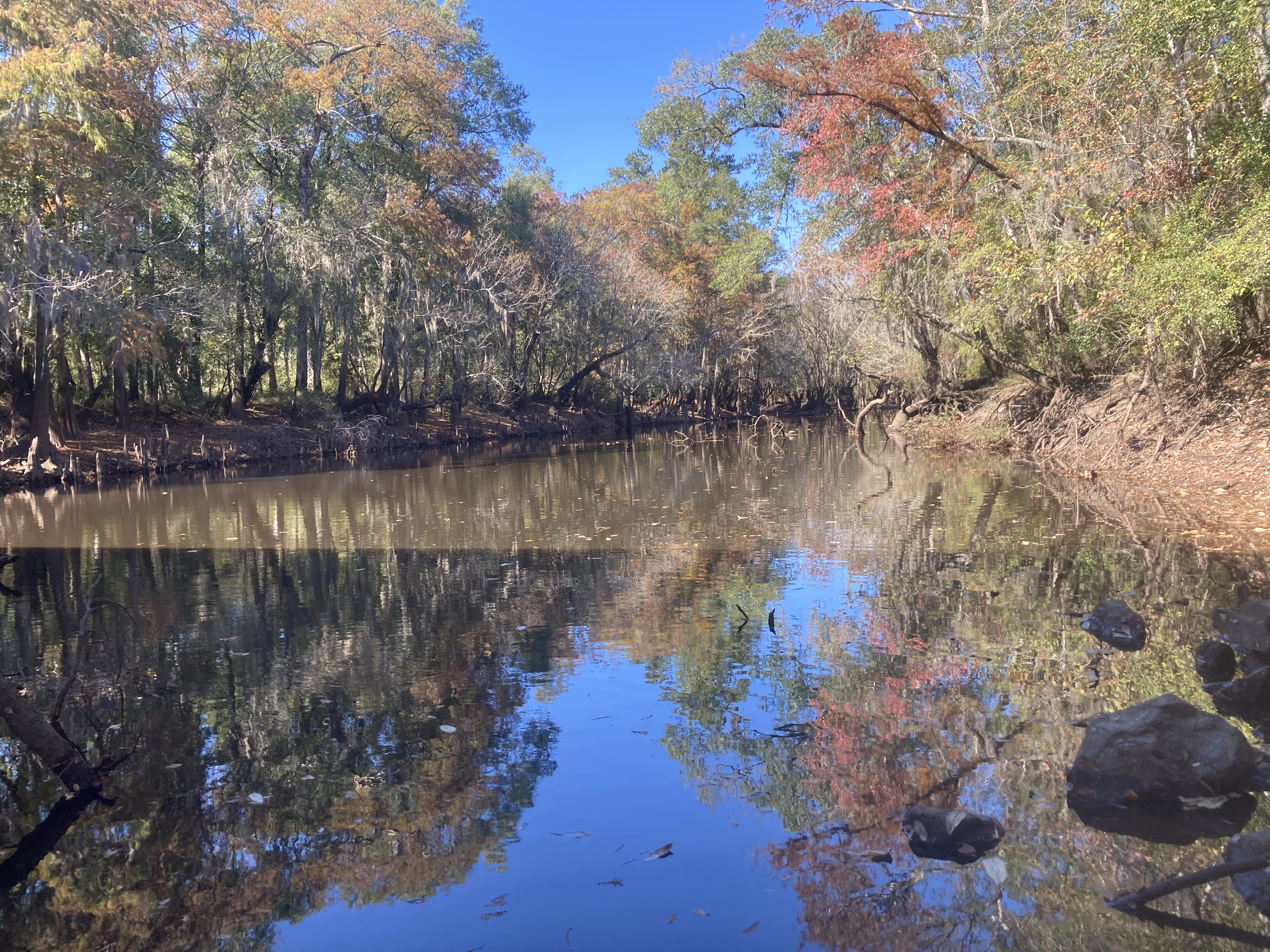 Sheboggy Boat Ramp, Alapaha River @ US 82 2023-11-05