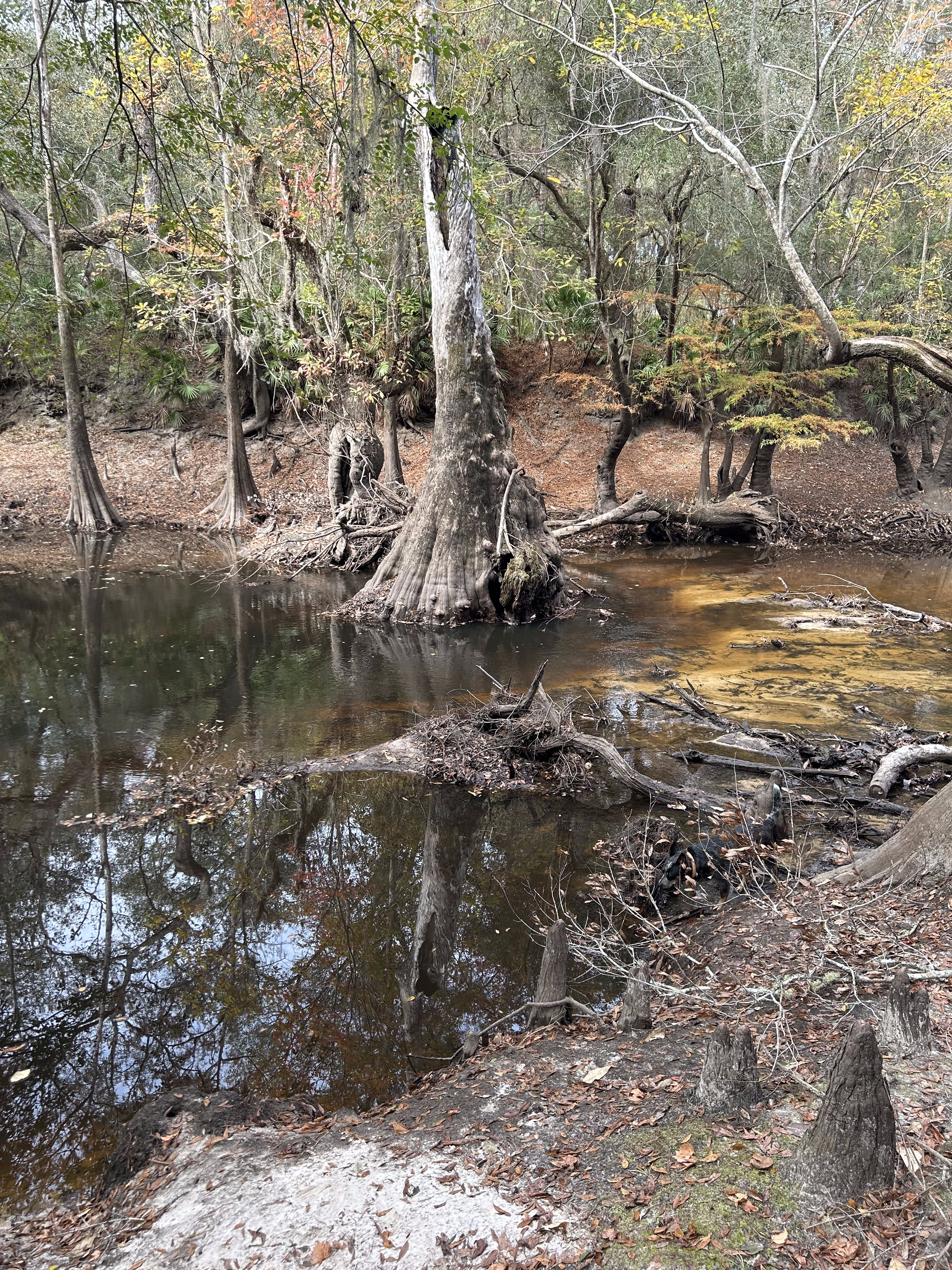 Staten Road, Withlacoochee River @ Staten Road 2023-11-09