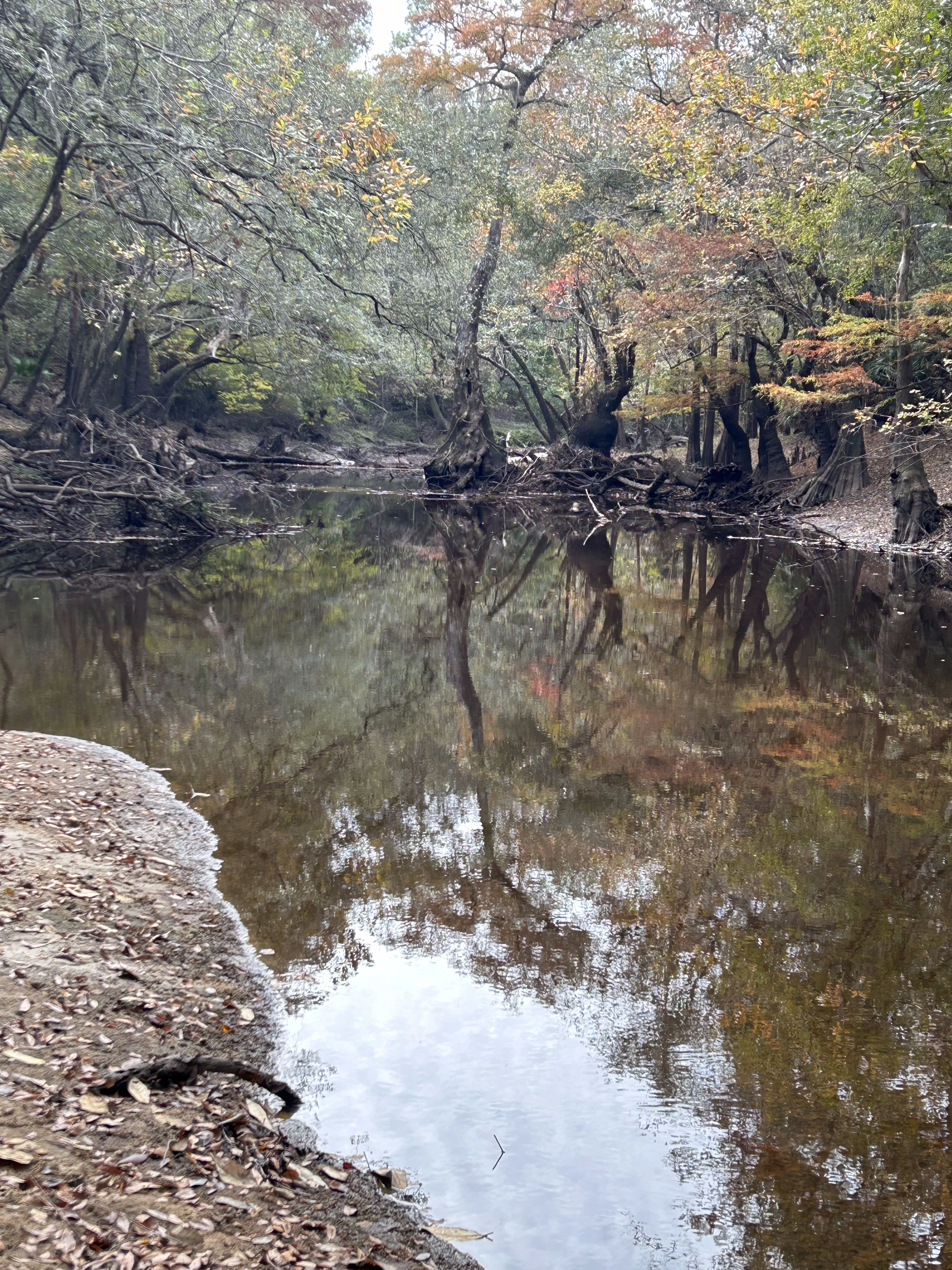 Staten Road downstream, Withlacoochee River @ Staten Road 2023-11-09