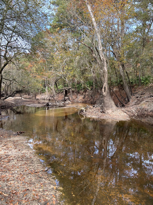 [Franklinville downstream, Withlacoochee River @ Frankinville Road 2023-11-09]