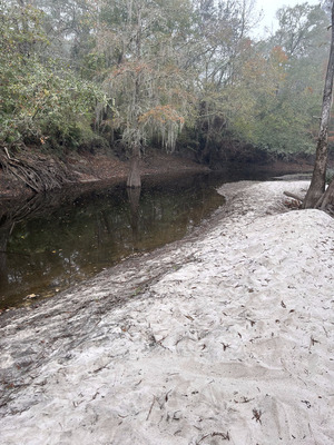 [Sandbar, Langdale Park Boat Ramp, Withlacoochee River @ North Valdosta Road 2023-11-09]