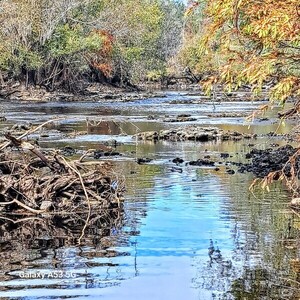 [Rapids, Clyattville-Nankin Boat Ramp, Withlacooochee River 2023-11-09]