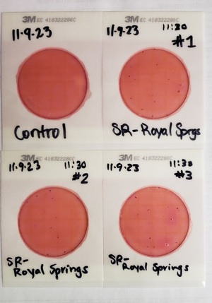 [Plates, Royal Springs Ramp 2023-11-09]