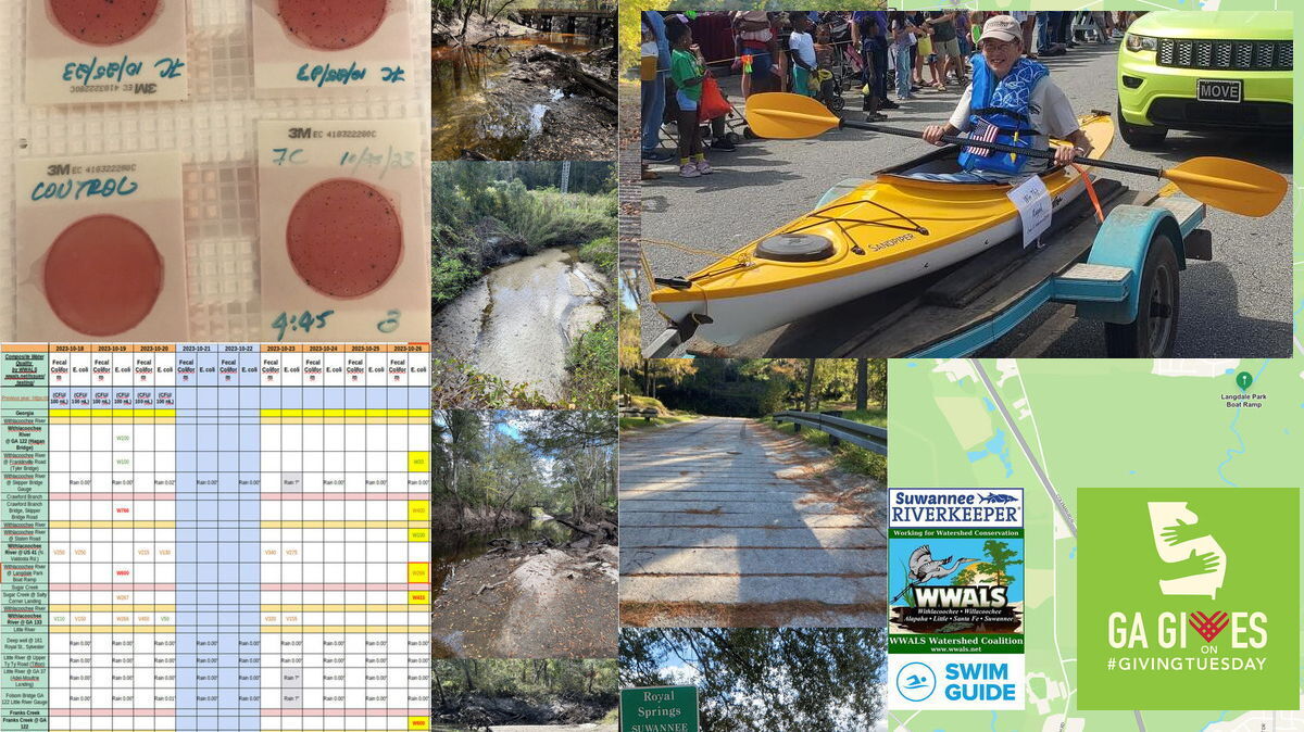 Eddyline kayak in Hahira Honeybee Parade, and WWALS Day of Giving this month