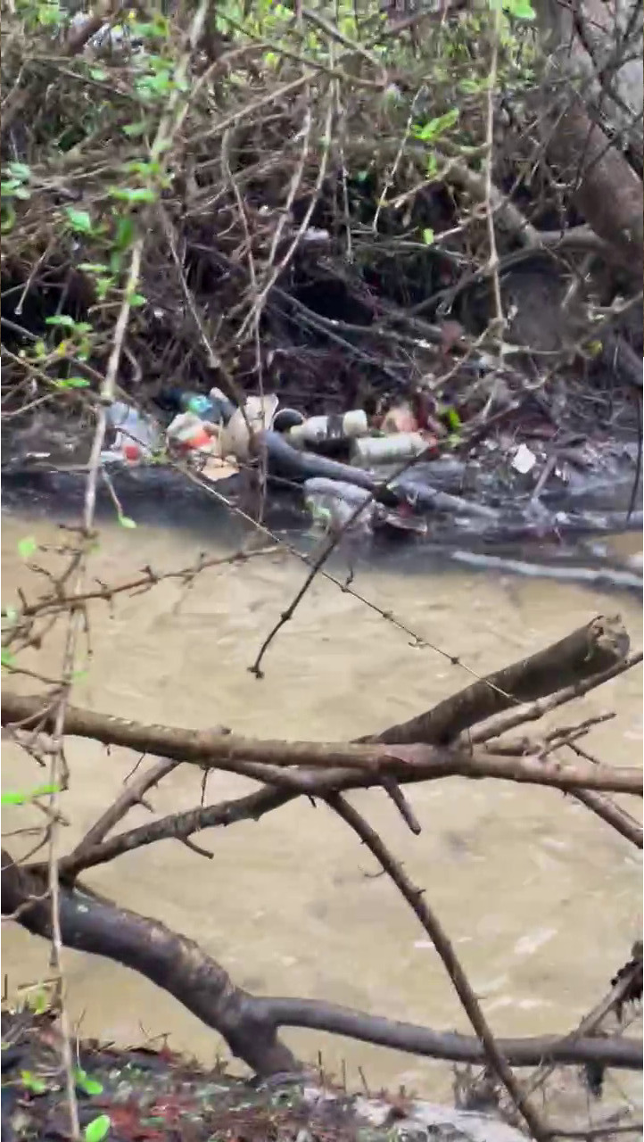 Trash across Two Mile Branch