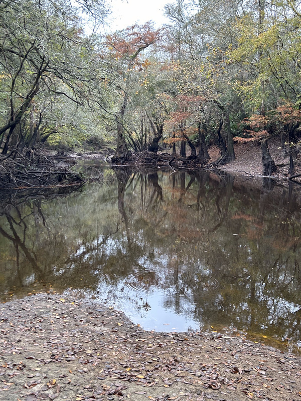 [Staten Road, Withlacoochee River @ Staten Road 2023-11-16]