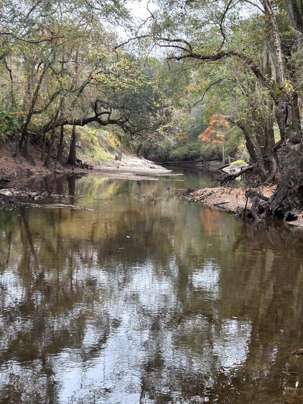 Staten Road other, Withlacoochee River @ Staten Road 2023-11-16