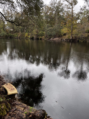 [Holly Point other, Withlacoochee River @ NE Withla Bluffs Way 2023-11-15]