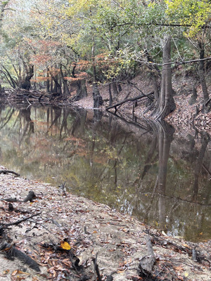 [Staten Road other, Withlacoochee River @ Staten Road 2023-11-16]