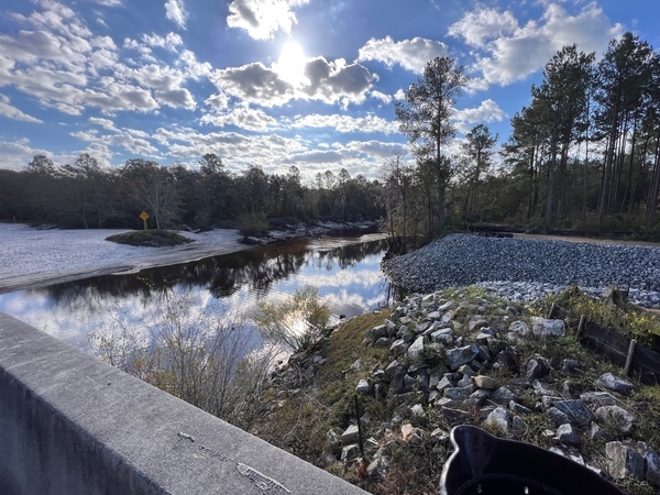 [Lakeland Boat Ramp downstream, Alapaha River @ GA 122 2023-11-20]