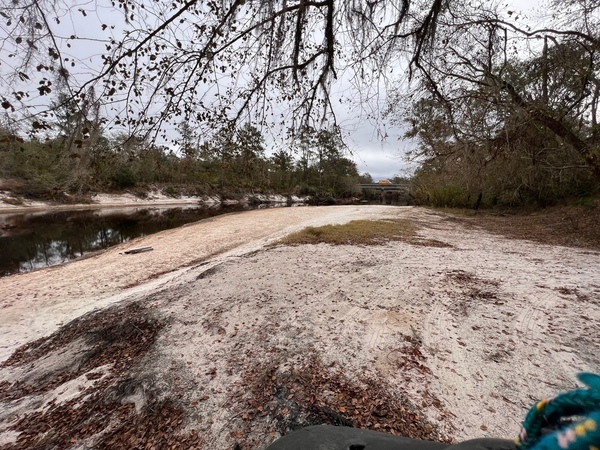 [Naylor Park Beach, Alapaha River @ US 84 2023-11-20]