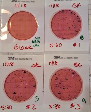 [Plates, Sugar Creek 2023-11-18]