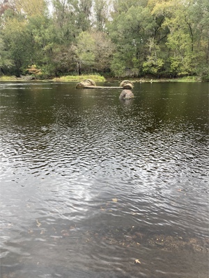 [River, High Springs Ramp, Santa Fe River @ US 41 2023-11-22]