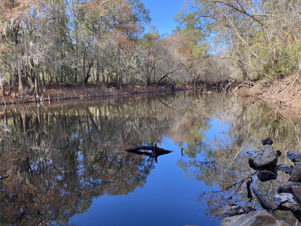 [Sheboggy Boat Ramp, Alapaha River @ US 82 2023-11-24]