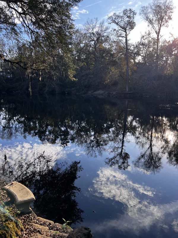 [Holly Point, Withlacoochee River @ NE Withla Bluffs Way 2023-11-29]