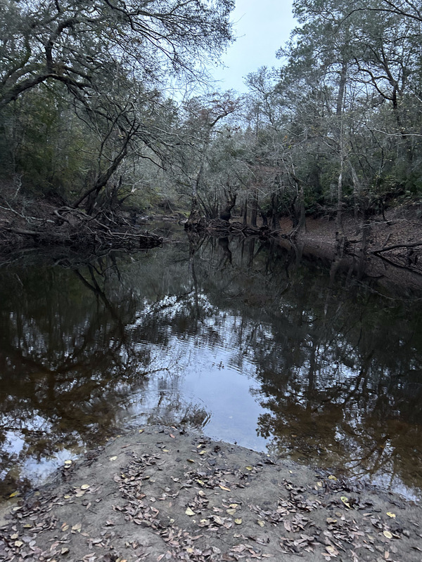 [Staten Road, Withlacoochee River @ Staten Road 2023-11-30]