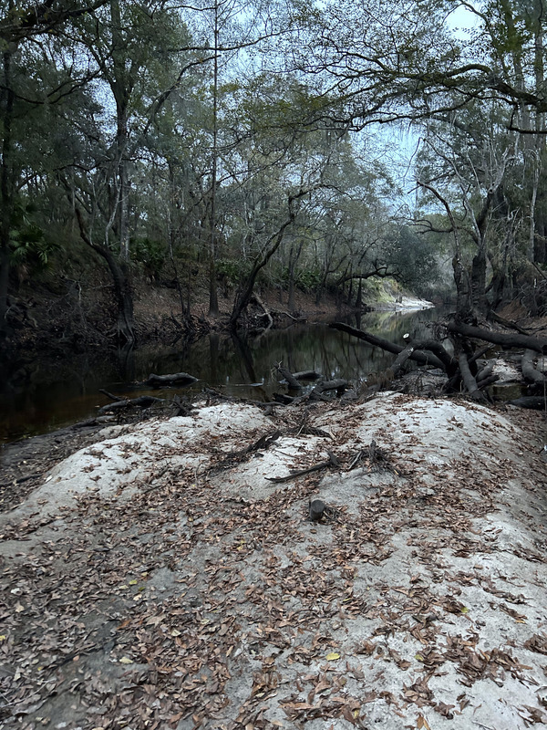 Staten Road other, Withlacoochee River @ Staten Road 2023-11-30