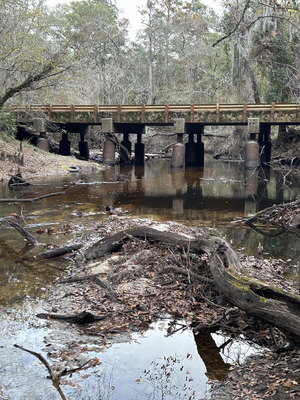 [Franklinville downstream, Withlacoochee River @ Frankinville Road 2023-11-30]