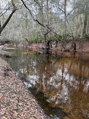 [Franklinville, Tyler Bridge, Withlacoochee River @ Frankinville Road 2023-11-30]