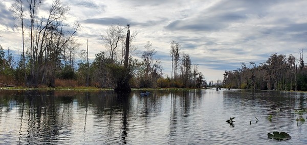 [Great Blue Heron flying with boaters --John S. Quarterman 2019-12-07]