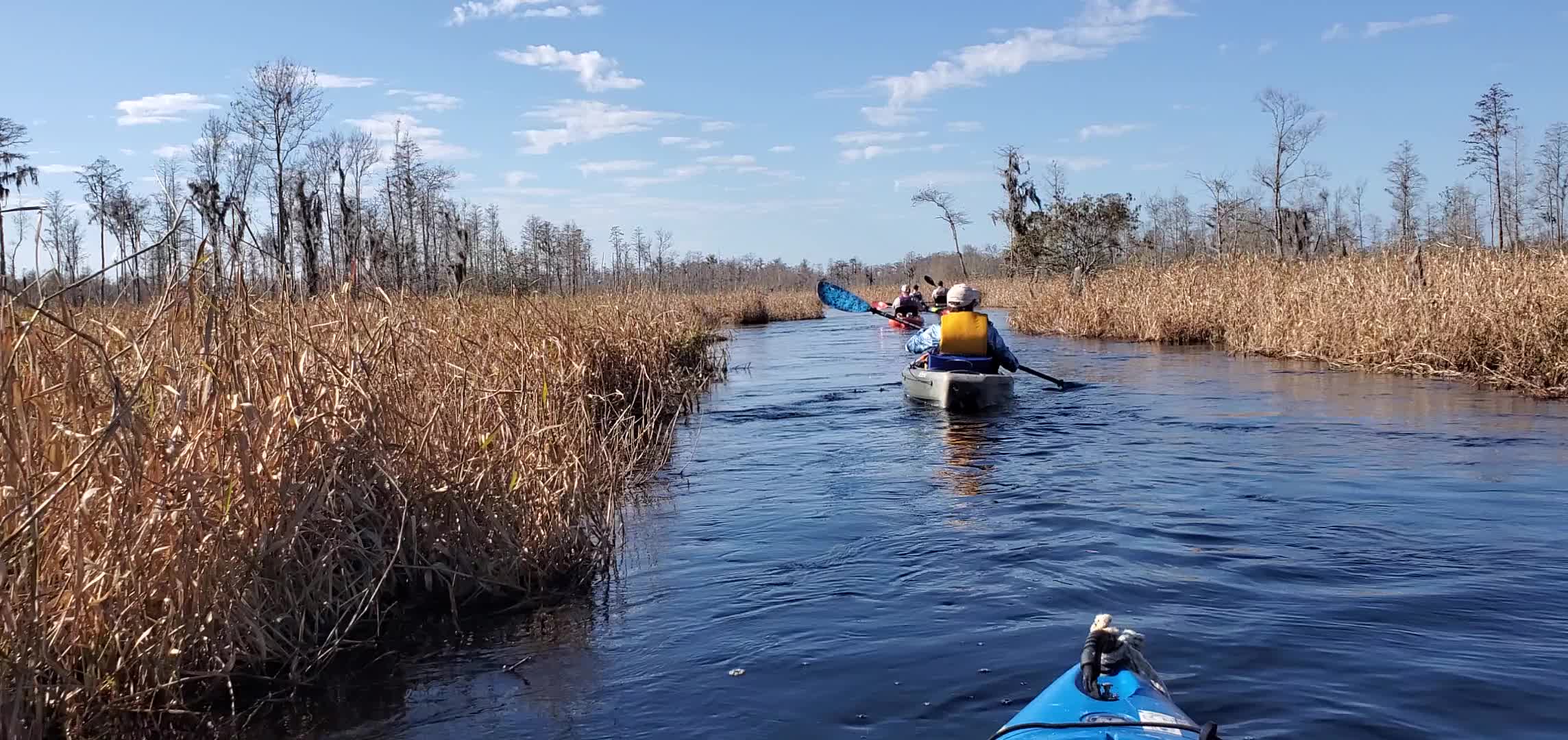 Movie: Where the paddles were coming from (17M)