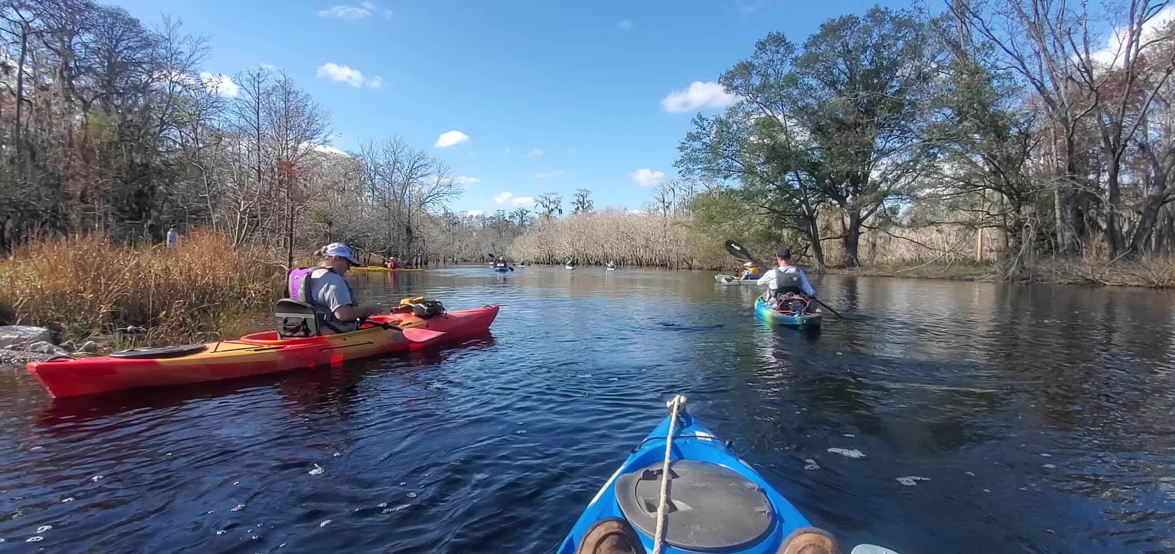 Movie: Heading down the Suwannee River from the Sill (9.5M), 30.8041, -82.418692