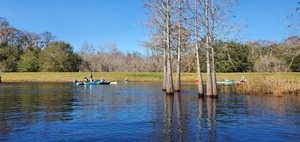 [Suwannee River Sill, 2023:12:09 11:25:20, 30.8051010, -82.4156144]