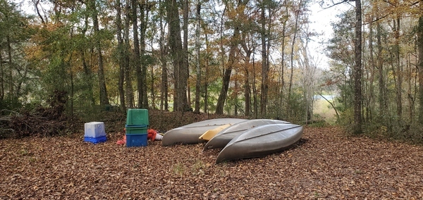 [Canoes at Trilogy Landing, Ichetucknee River, 14:25:48, 29.9684300, -82.7595010]