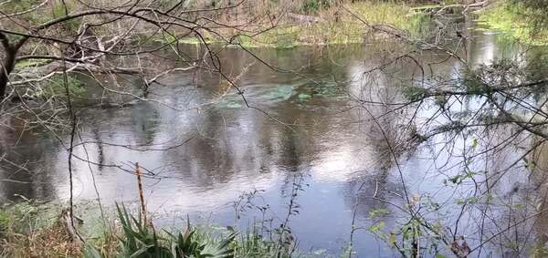 [Movie: Devils Eye Spring, Ichetucknee River, 29.9735 -82.760 (21M)]