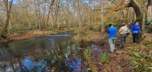 [People and logs across Mill Pond Spring Run, 15:06:50, 29.9663566, -82.7602500]