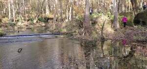 [Movie: Undershot water wheel was in the cut on the right, 15:07:12, 29.9663566, -82.7602500 (20M)]