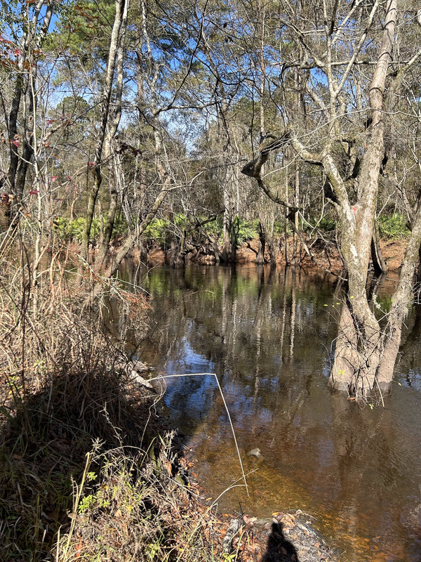 [Franklinville downstream, Withlacoochee River @ Frankinville Road 2023-12-14]