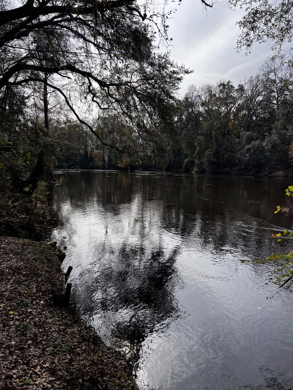 [Holly Point, Withlacoochee River @ NE Withla Bluffs Way 2023-12-14]