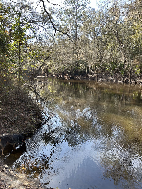 [Staten Road, Withlacoochee River @ Staten Road 2023-12-14]