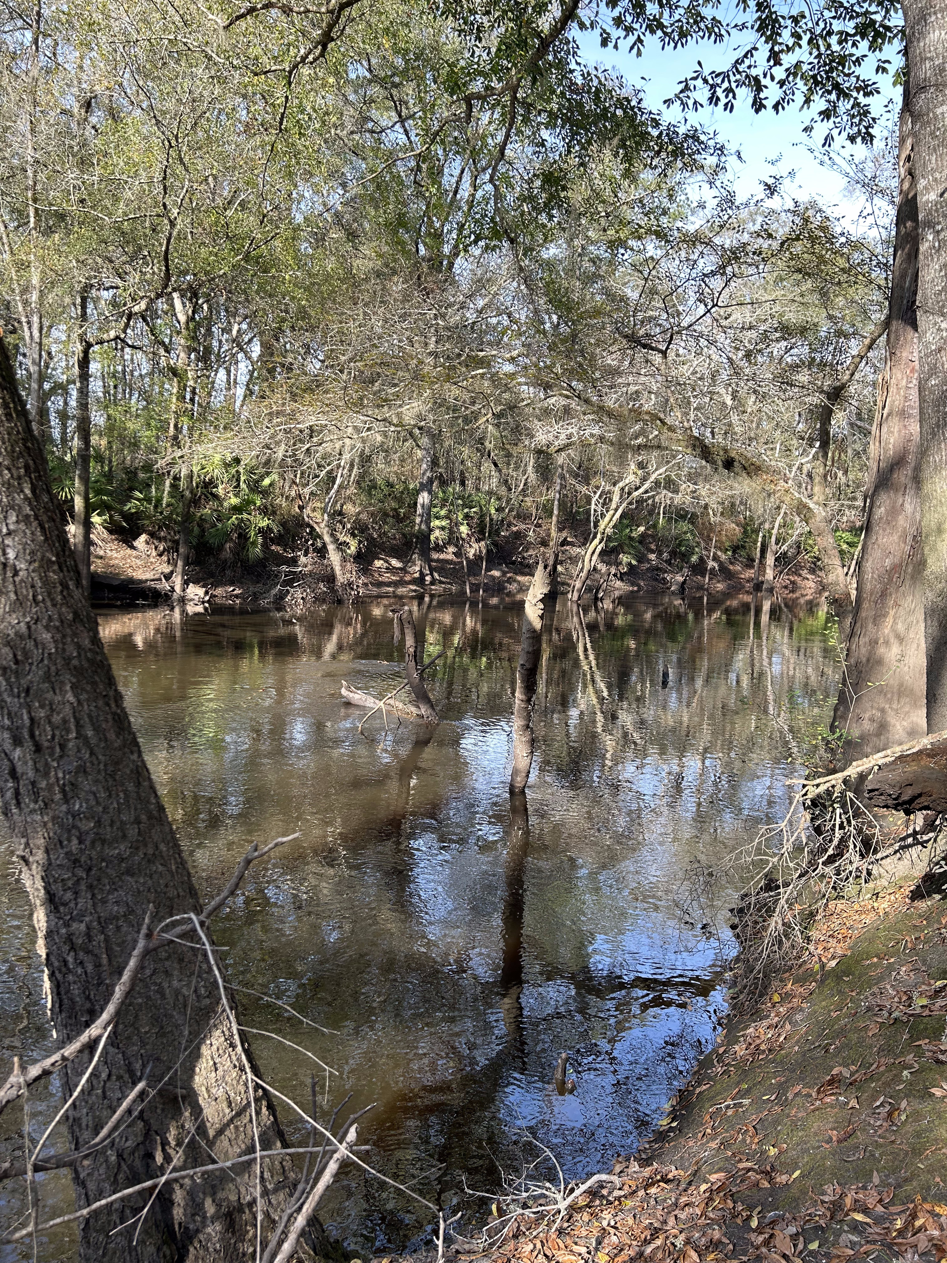 Staten Road other, Withlacoochee River @ Staten Road 2023-12-14