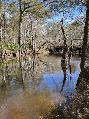 [Franklinville, Withlacoochee River @ Frankinville Road 2023-12-14]