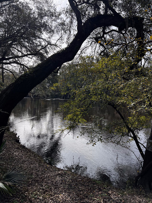 [Holly Point other, Withlacoochee River @ NE Withla Bluffs Way 2023-12-14]