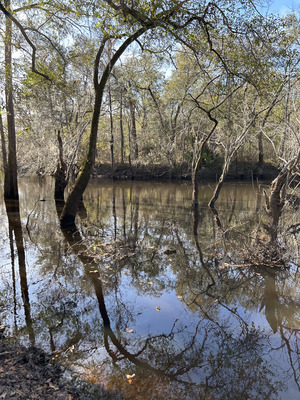 [Langdale Park Boat Ramp other, Withlacoochee River @ North Valdosta Road 2023-12-14]